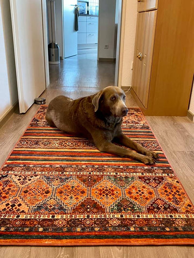 Wenn der Teppich nach Hund riecht: Die besten Hausmittel und Tipps